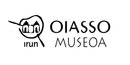 Oiasso Museo Romano 